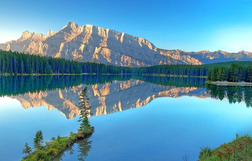 產(chǎn)品種類(lèi)